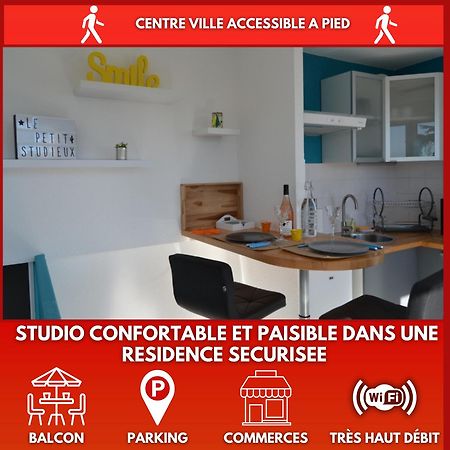 Le Petit Studieux - Parking - Animaux Acceptes - Centre Ville Accessible A Pied Альби Экстерьер фото